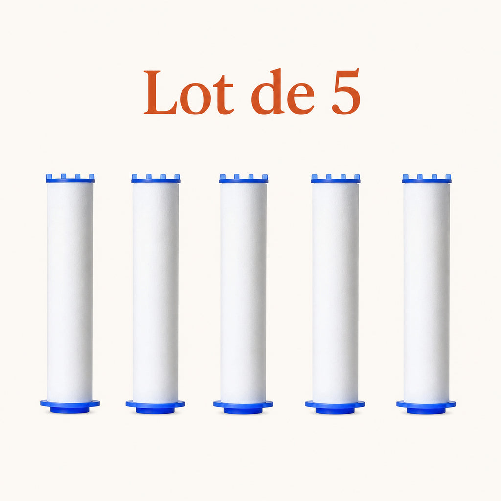 5 cartouches filtrantes