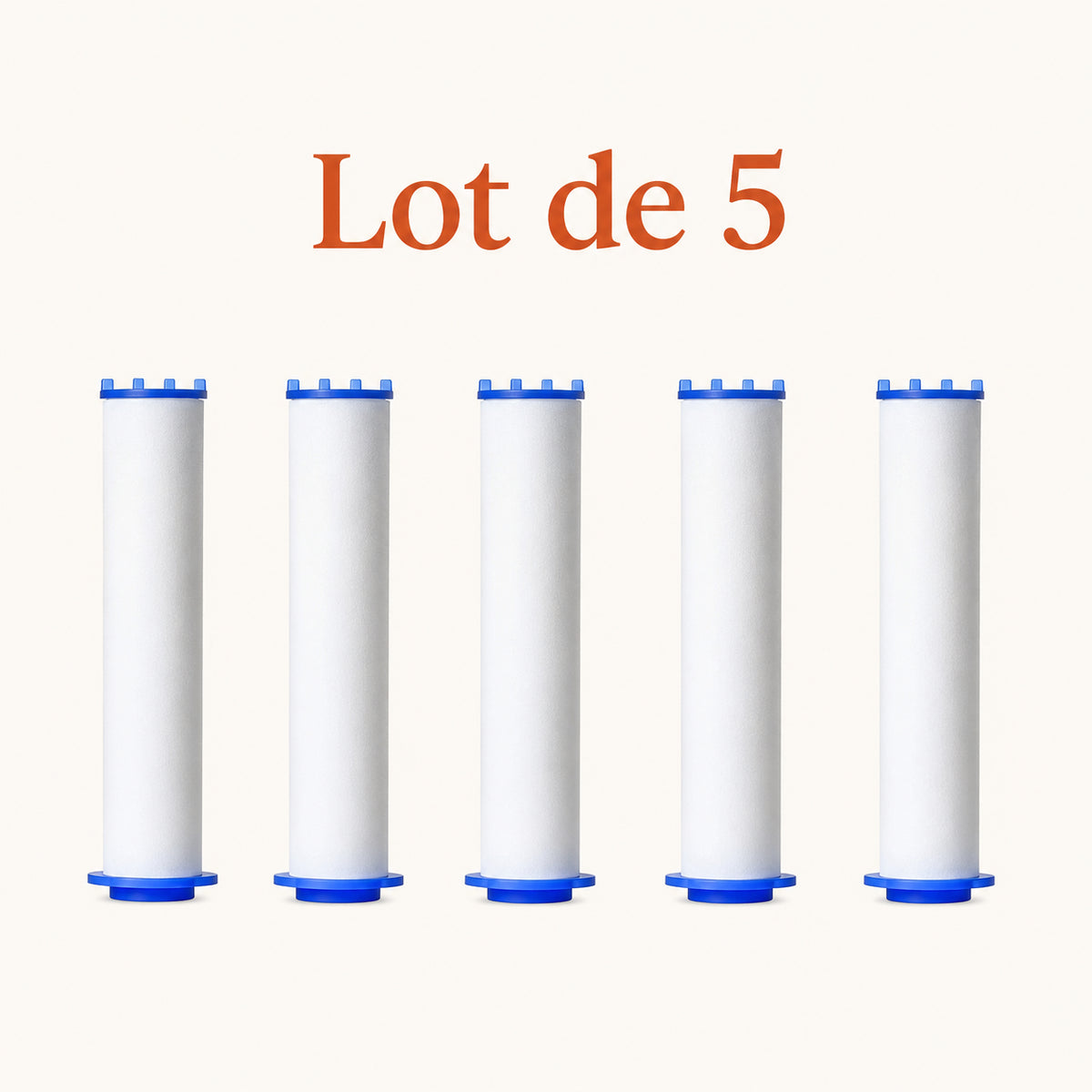5 cartouches filtrantes