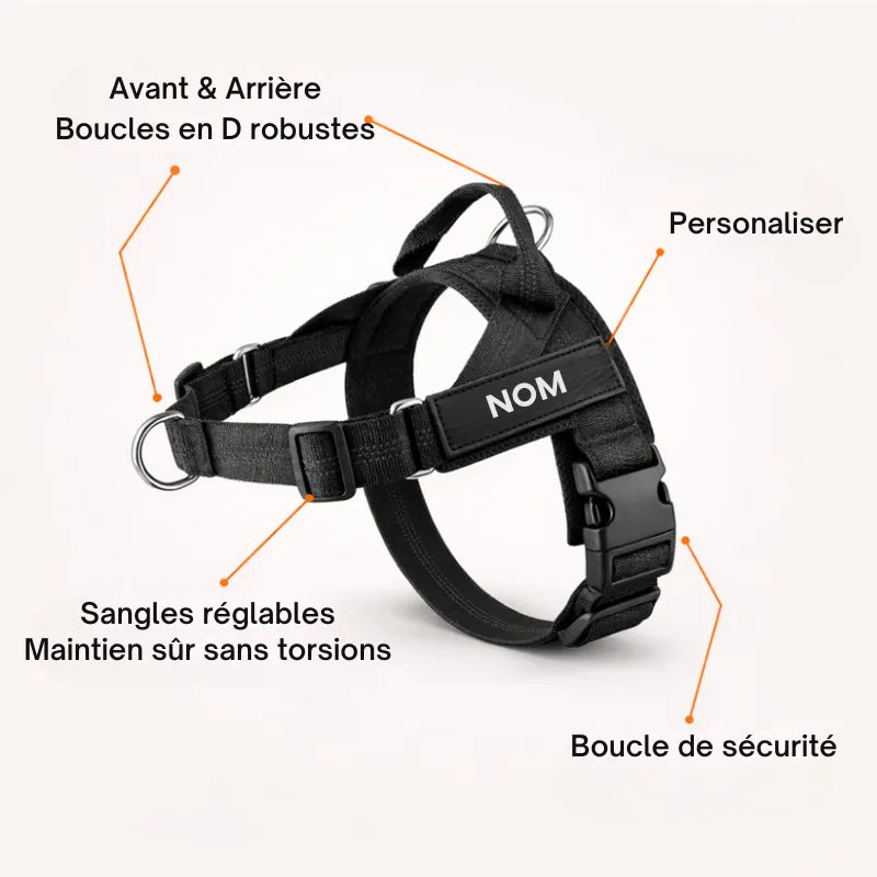 Harnais Esaywalk à clip frontal