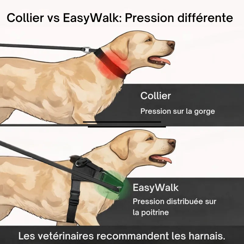 Harnais Esaywalk à clip frontal