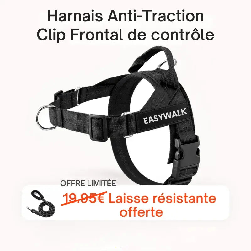 Harnais Esaywalk à clip frontal