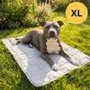 Tapis Rafraîchissant pour Chien – Au Frais Tout l’Été