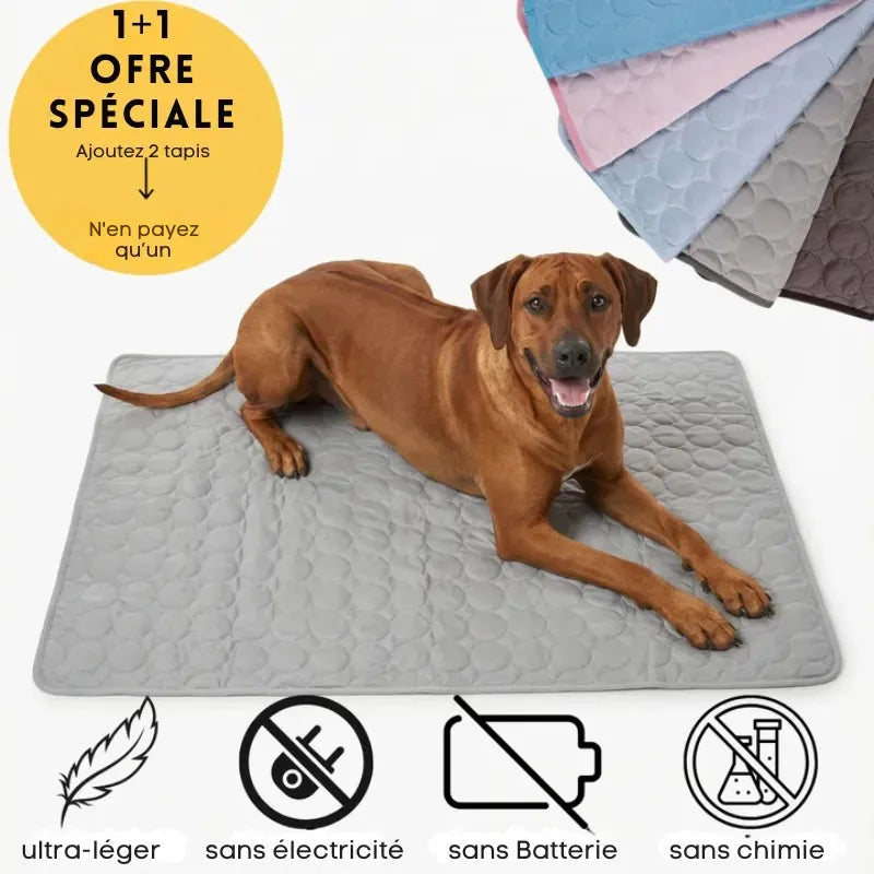 Tapis Rafraîchissant pour Chien – Au Frais Tout l’Été