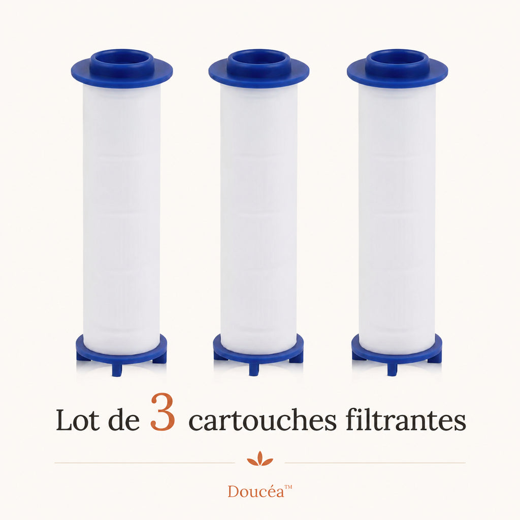 3 cartouches filtrantes