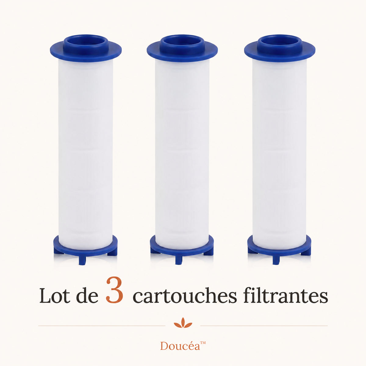 3 cartouches filtrantes