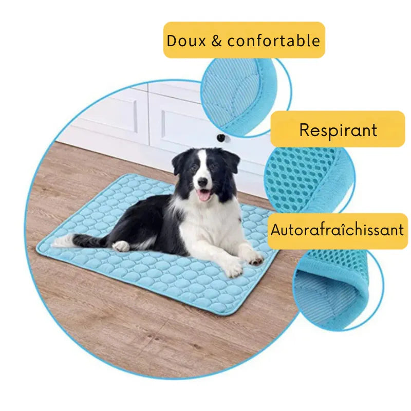 Tapis Rafraîchissant pour Chien – Au Frais Tout l’Été