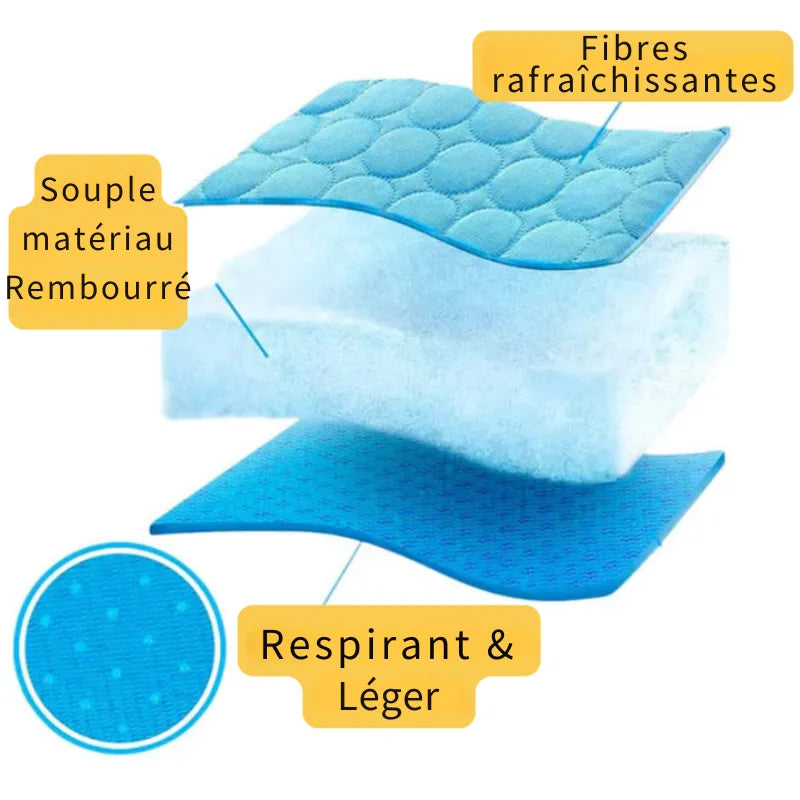 Tapis Rafraîchissant pour Chien – Au Frais Tout l’Été