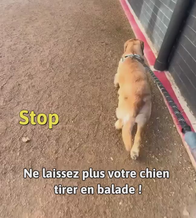 Vidéo